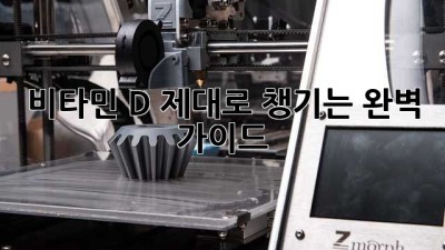 비타민 D 제대로 챙기는 완벽 가이드